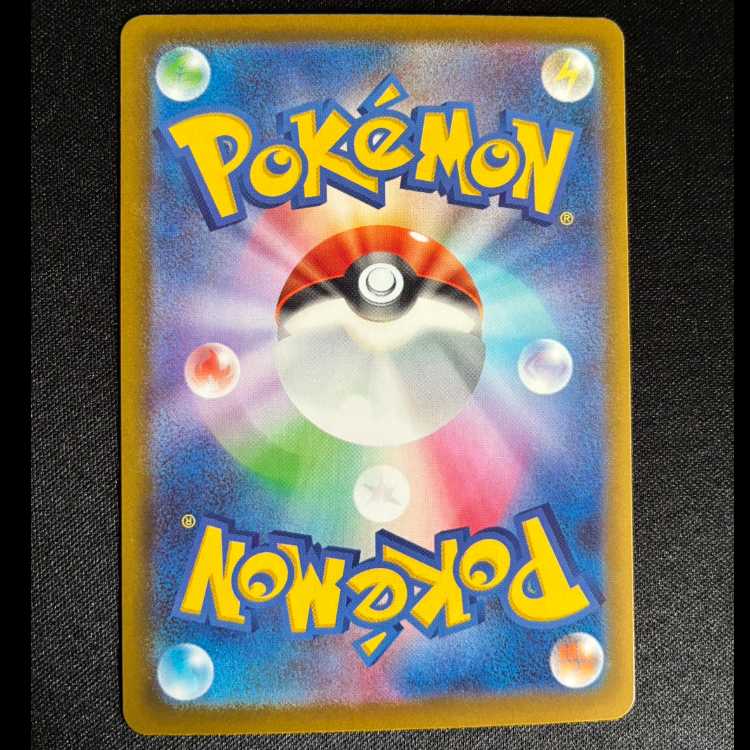 サーファー SAR 249/193 1枚