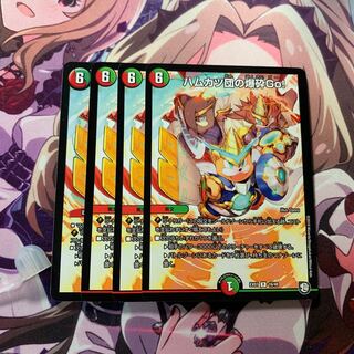 ハムカツ団の爆砕Go! 4枚