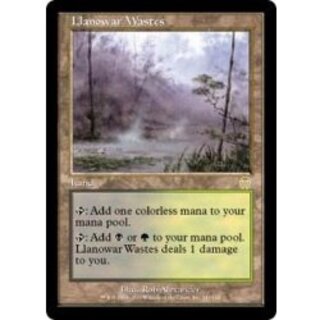 [EX]ラノワールの荒原/Llanowar Wastes《英語》【APC】 1枚