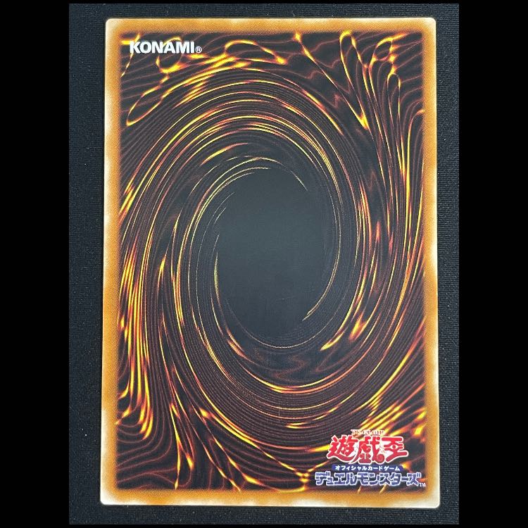 カイザーグライダー レリーフ 304-051 1枚