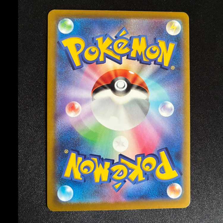 #スピンロトム AR 213/193 1枚