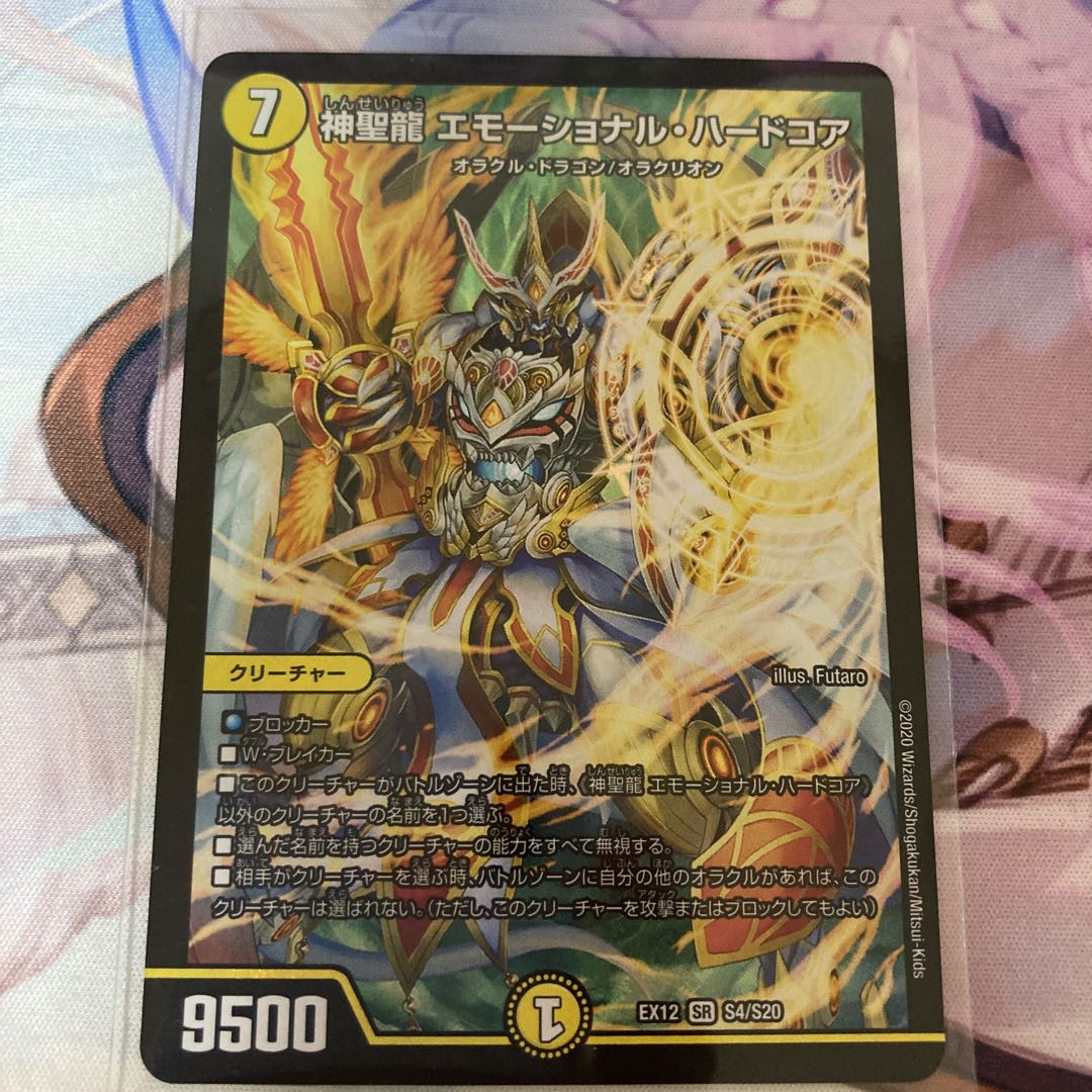 神聖龍 エモーショナル・ハードコア