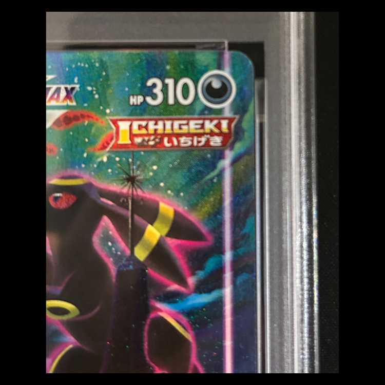 ブラッキーVMAX HR S6a SA　PSA10