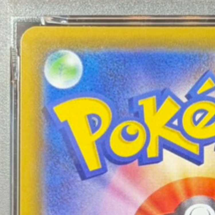 【PSA10】グレイシアVMAX HR 091/069 1枚