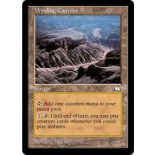 [EX+]七曲がりの峡谷/Winding Canyons《英語》【WTH】 1枚