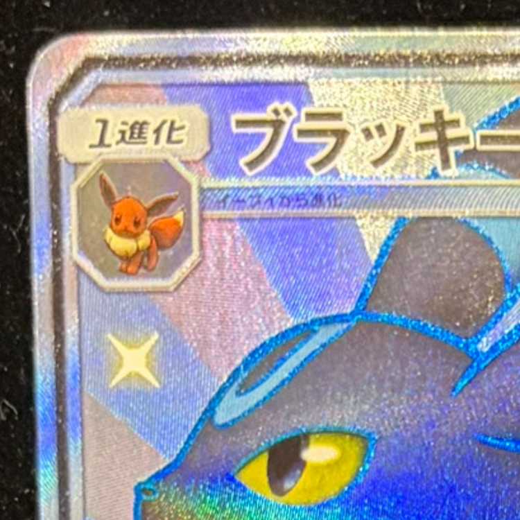 ブラッキーGX SSR 229/150 1枚