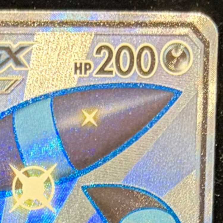 ブラッキーGX SSR 229/150 1枚