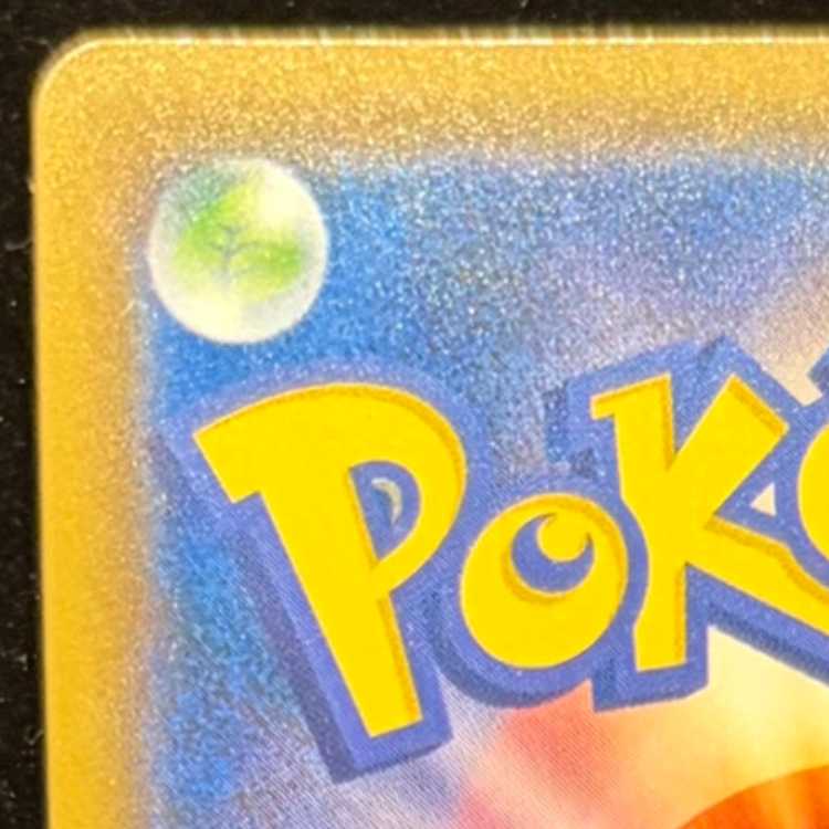 ブラッキーGX SSR 229/150 1枚