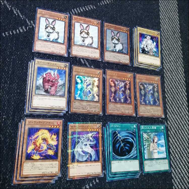 遊戯王　兎　ラギア　デッキ　1103環境　[04723] 1枚