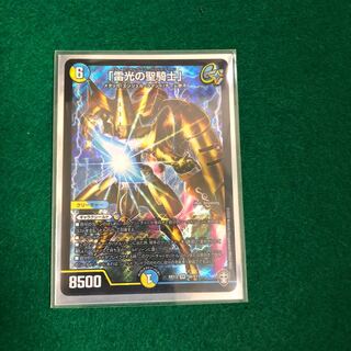 「雷光の聖騎士」