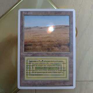 MTG savannah ② イタリア語
