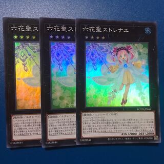 Rikka Queen Strenna SR