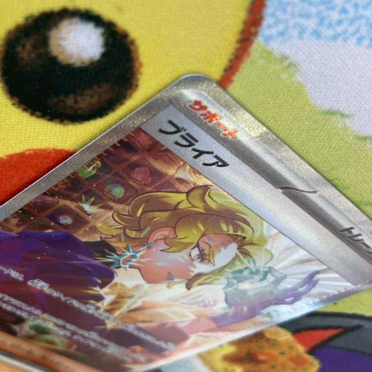 S73 ブライア SAR 132/102 1枚