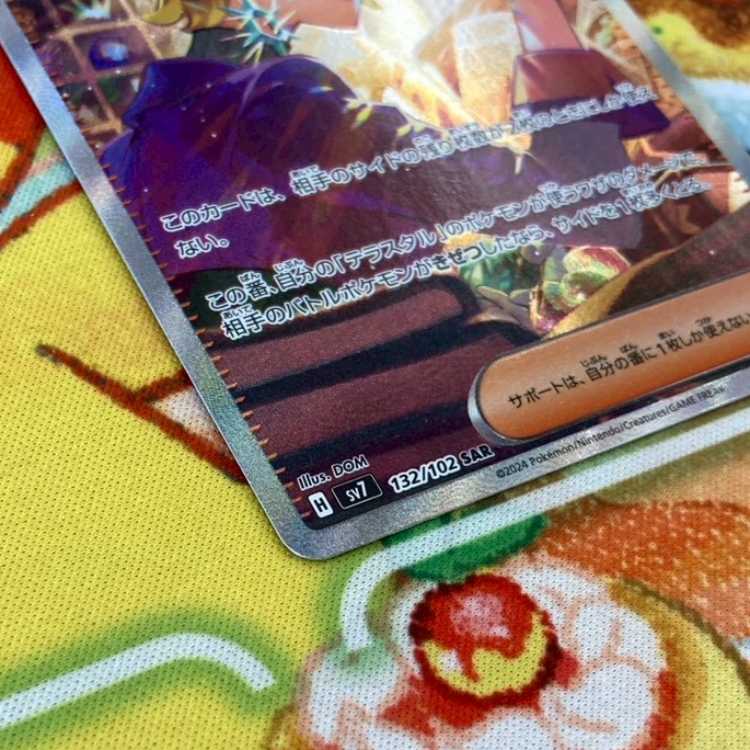 S73 ブライア SAR 132/102 1枚