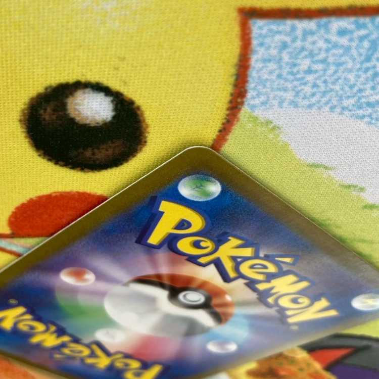 S73 ブライア SAR 132/102 1枚