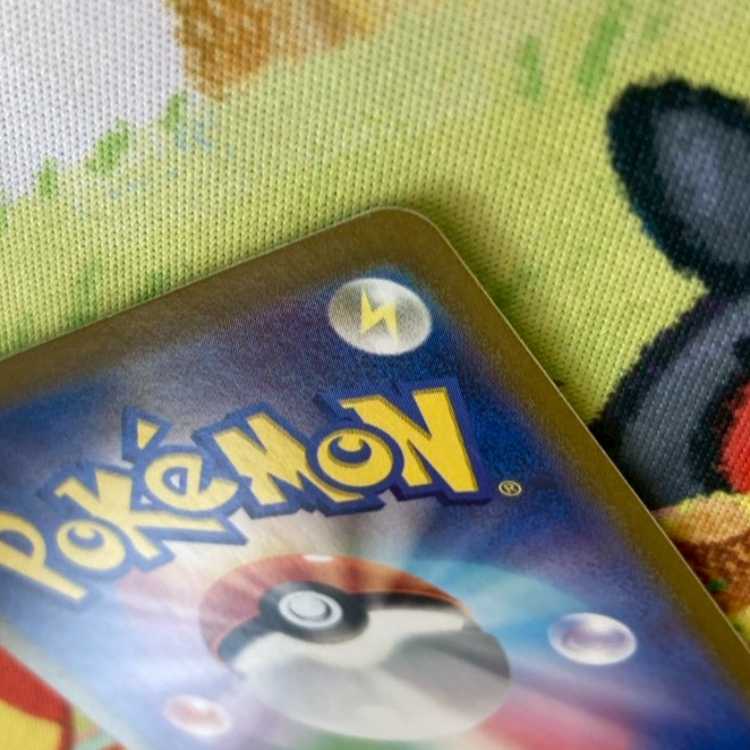 S73 ブライア SAR 132/102 1枚