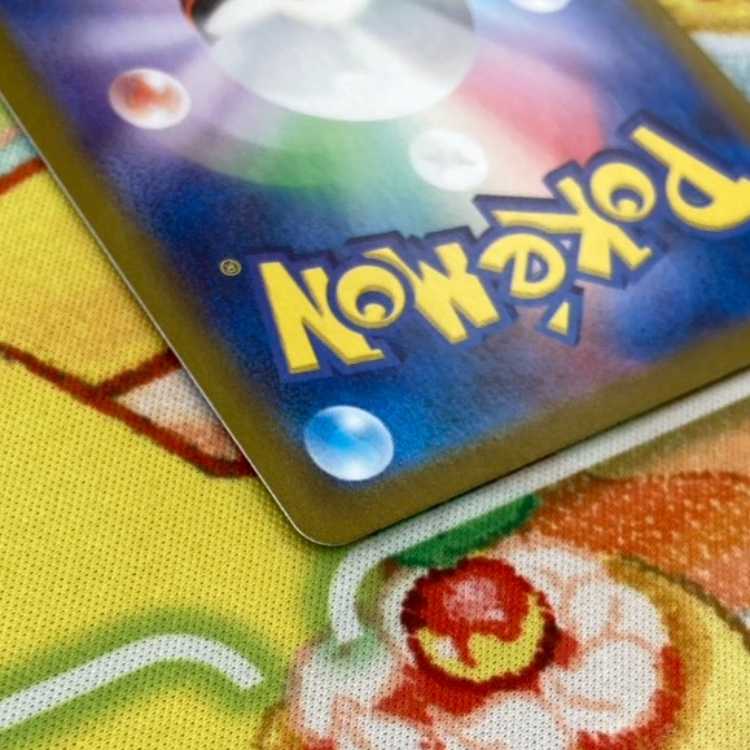 S73 ブライア SAR 132/102 1枚