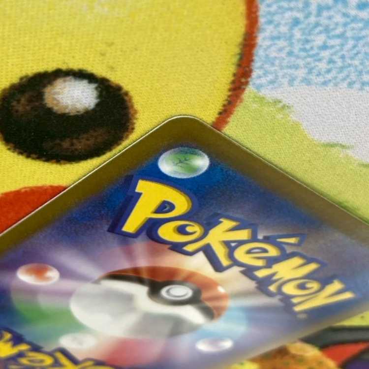 S72 タロ SR 124/102 1枚