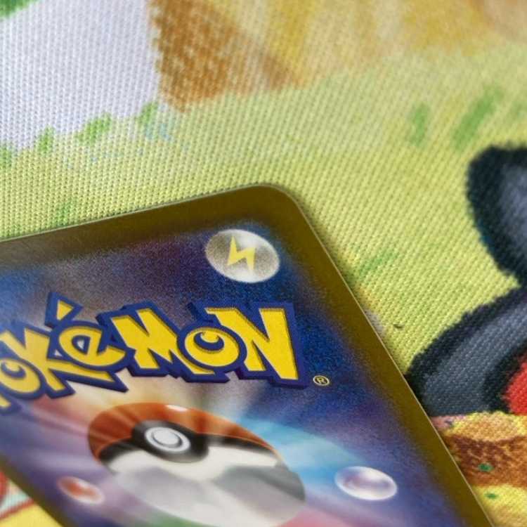 S72 タロ SR 124/102 1枚