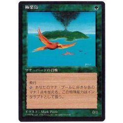 [EX+](黒枠)極楽鳥/Birds of Paradise《日本語》【4ED】 1枚