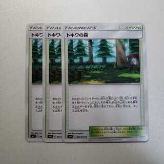 トキワの森 3枚セット