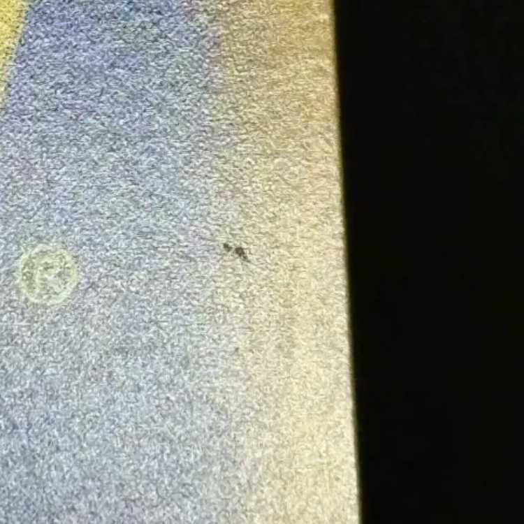 状態B ゲッコウガex SAR 090/066 1枚