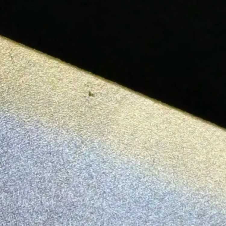 状態B ゲッコウガex SAR 090/066 1枚