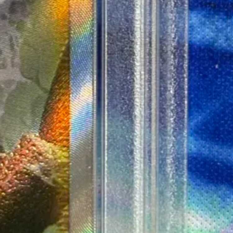 状態B　PSA10　シロナの覇気 SAR 239/172 1枚