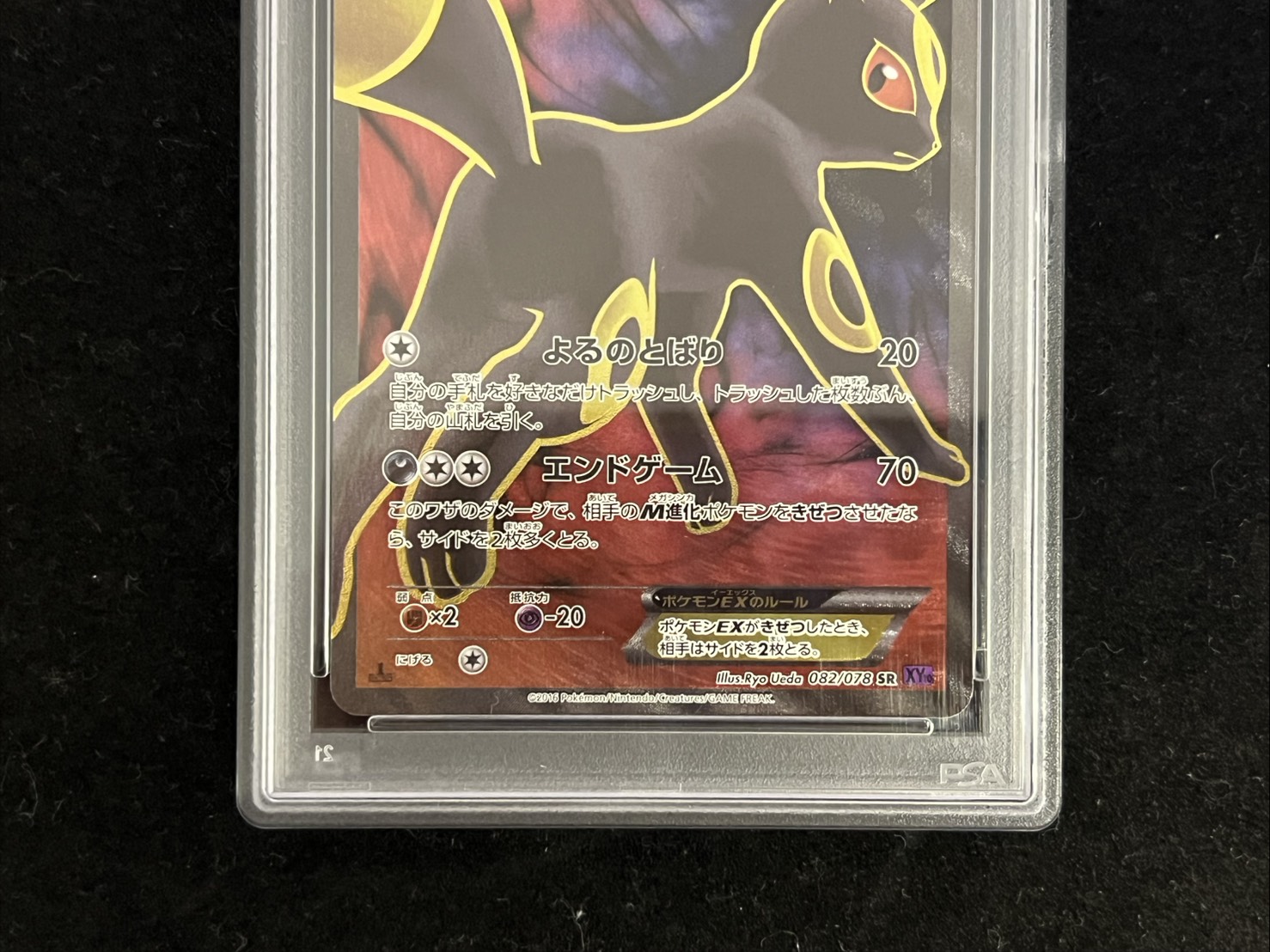 〔PSA10鑑定済〕ブラッキーEX【SR】{082/078} 1枚