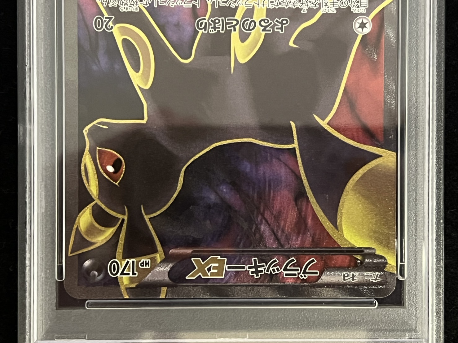 〔PSA10鑑定済〕ブラッキーEX【SR】{082/078} 1枚