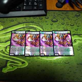 ベルヘルデスカル4枚