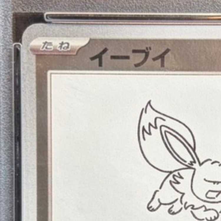 【PSA10】イーブイ YU NAGABA プロモ 開封済み PROMO 062/SV-P 1枚