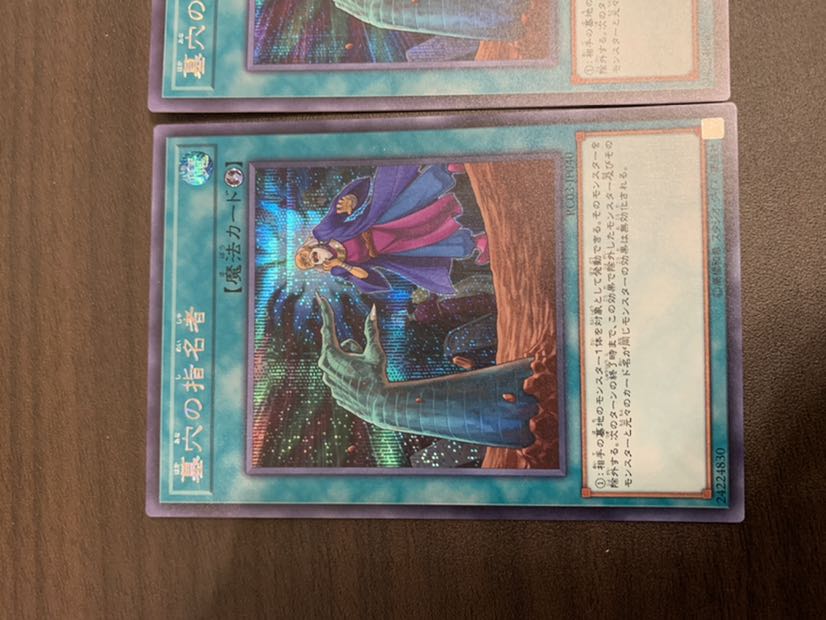 墓穴の指名者 SE