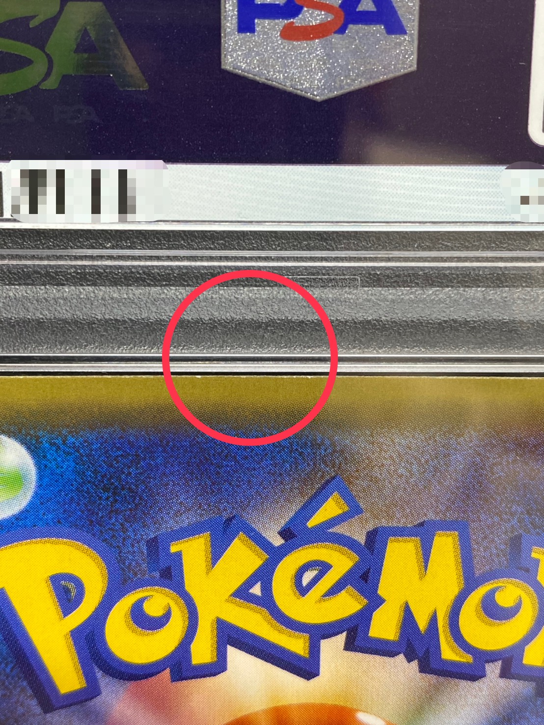 〔※状態難/PSA10鑑定済〕ポンチョを着たピカチュウ【P】{230/XY-P} 1枚