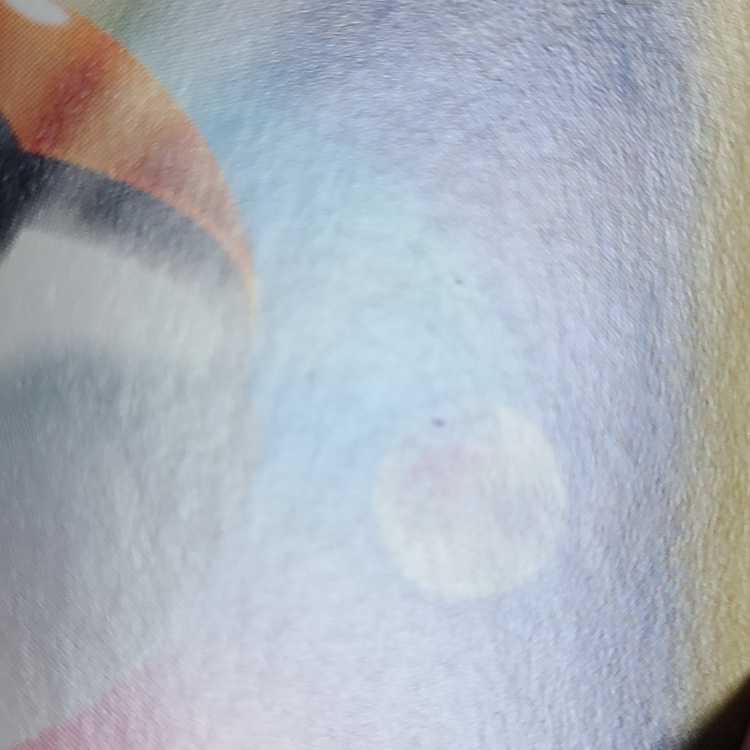 バウッツェルex SR 119/102 1枚