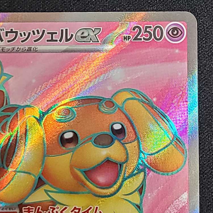 バウッツェルex SR 119/102 1枚