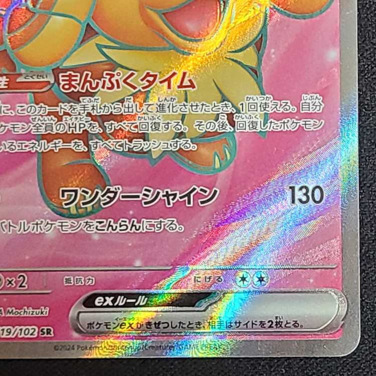 バウッツェルex SR 119/102 1枚