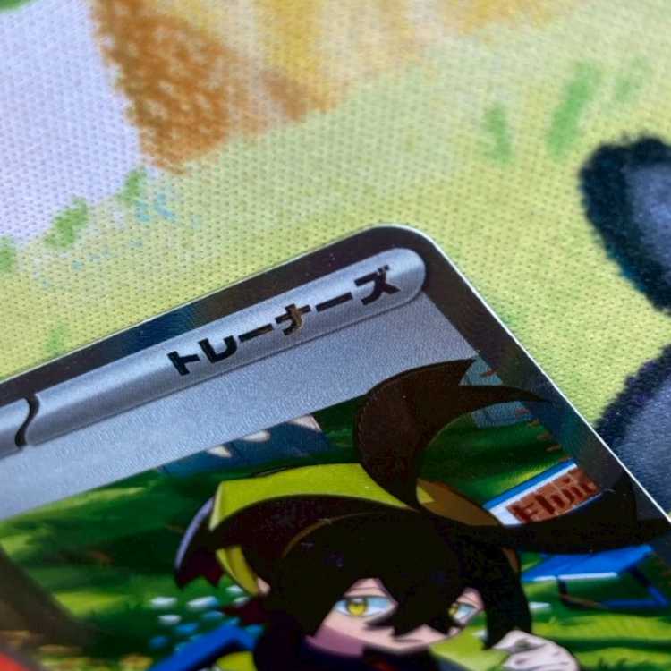 S108 スグリ SR 122/101 1枚