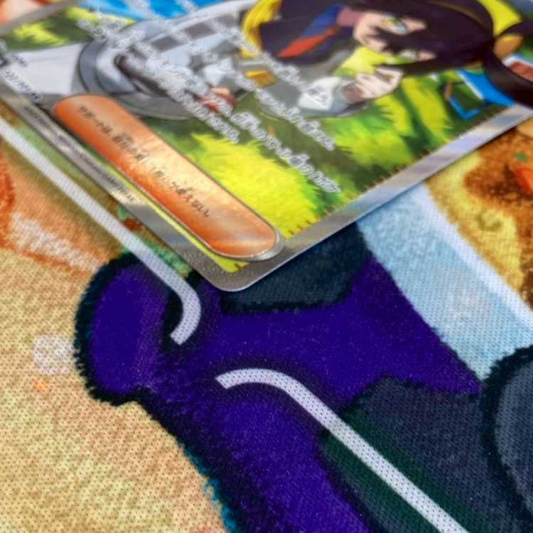 S108 スグリ SR 122/101 1枚