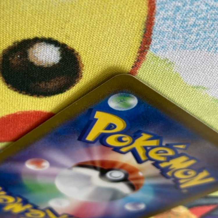 S108 スグリ SR 122/101 1枚