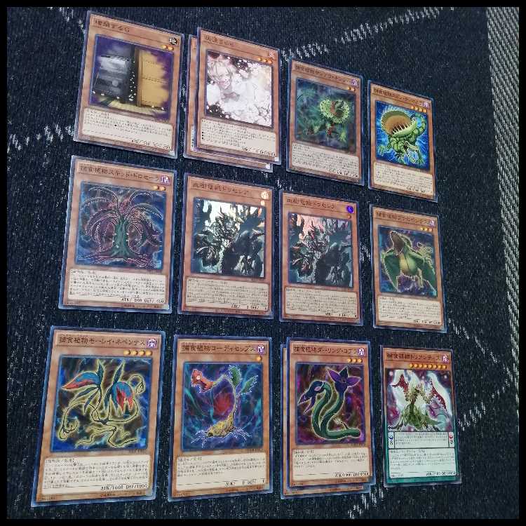 遊戯王　デッキ　捕食植物　プレデター・プランツ　スターヴ　[04731] 1枚