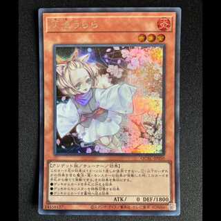 ＃灰流うらら シークレットレア QCAC-JP050 1枚