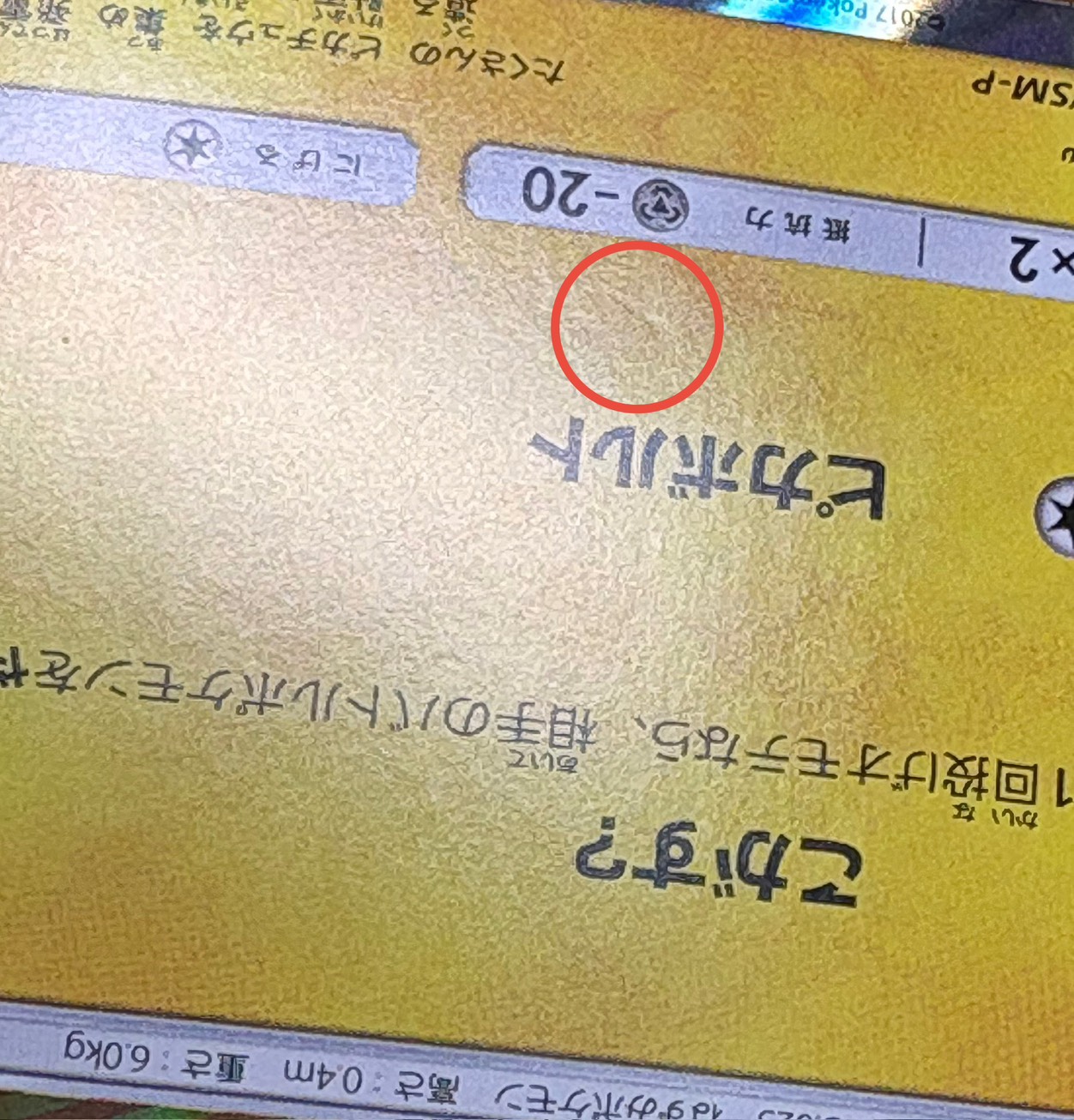 〔状態B〕ポンチョを着たピカチュウ【P】{038/SM-P} 1枚