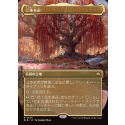 [EX+](フルアート)(0339)三本木市/Three Tree City《日本語》【BLB】 1枚