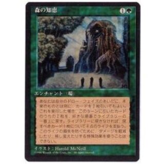 [EX](黒枠)森の知恵/Sylvan Library《日本語》【4ED】 1枚