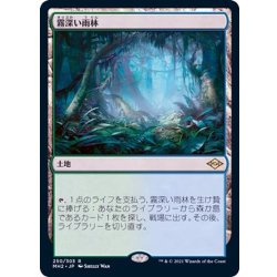 霧深い雨林/Misty Rainforest《日本語》【MH2】 1枚