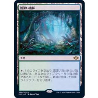 霧深い雨林/Misty Rainforest《日本語》【MH2】 1枚