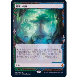 [EX+](フルアート)霧深い雨林/Misty Rainforest《日本語》【ZNE】 1枚