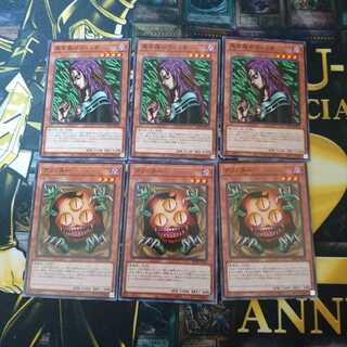 遊戯王 黒き森のウィッチ クリッター 3枚セット