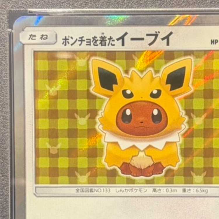 【PSA10】ポンチョを着たイーブイ PROMO 138/SM-P 1枚